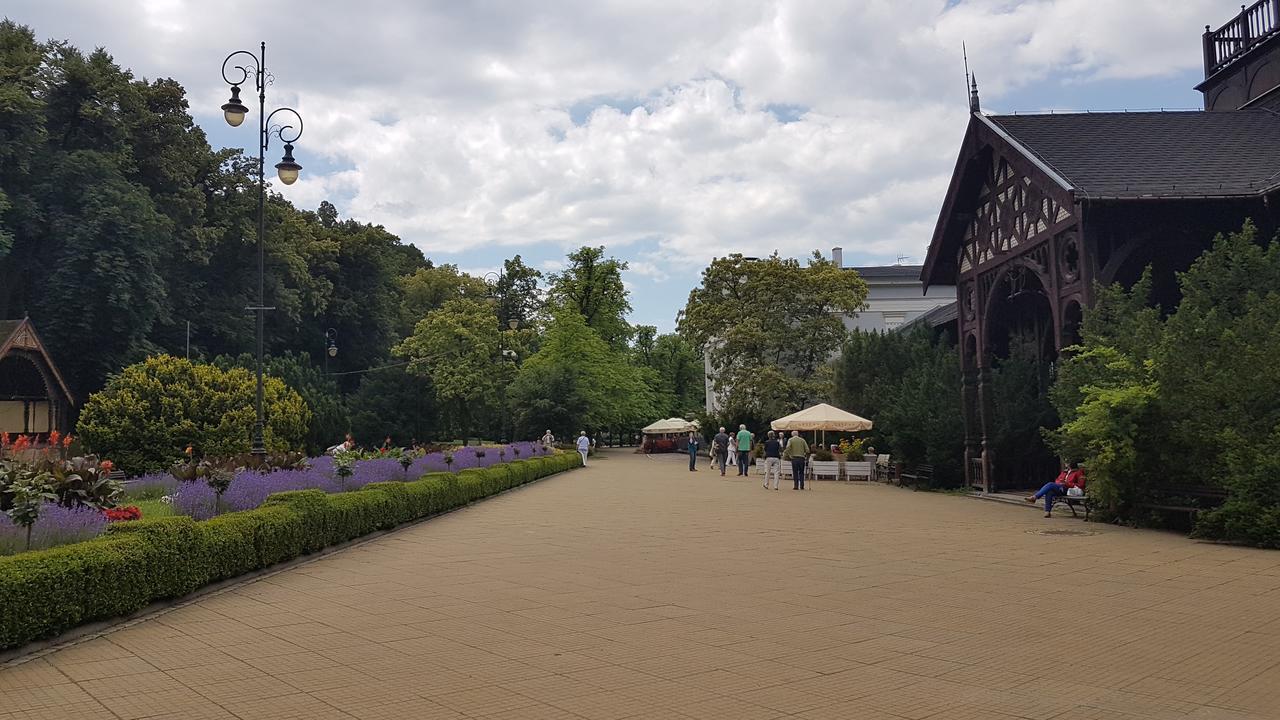 Apartamento Wanda Szczawno-Zdroj Exterior foto
